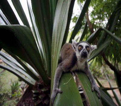 The Tsingy Tour of Madagascar