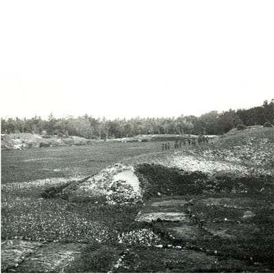 hatohobei