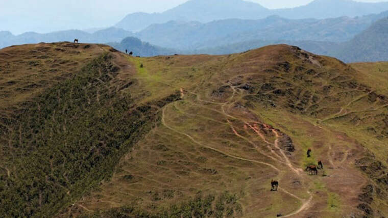 Nature & Wildlife in Timor Leste