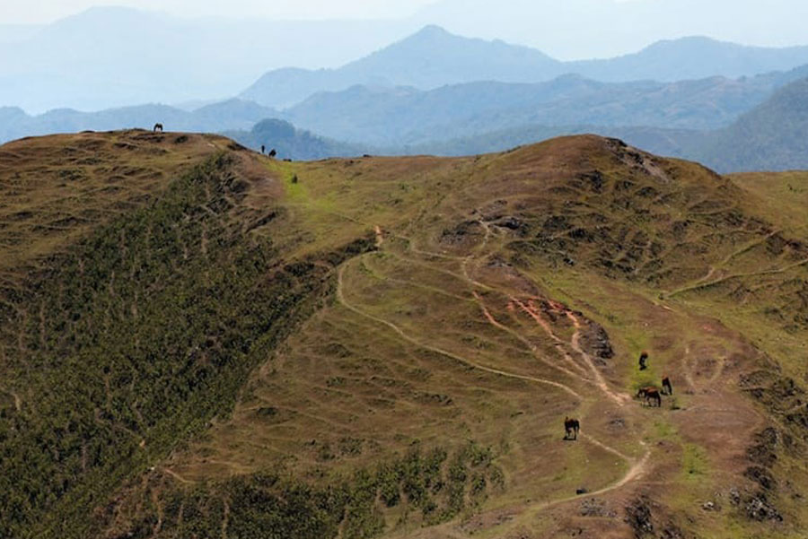 Nature & Wildlife in Timor Leste