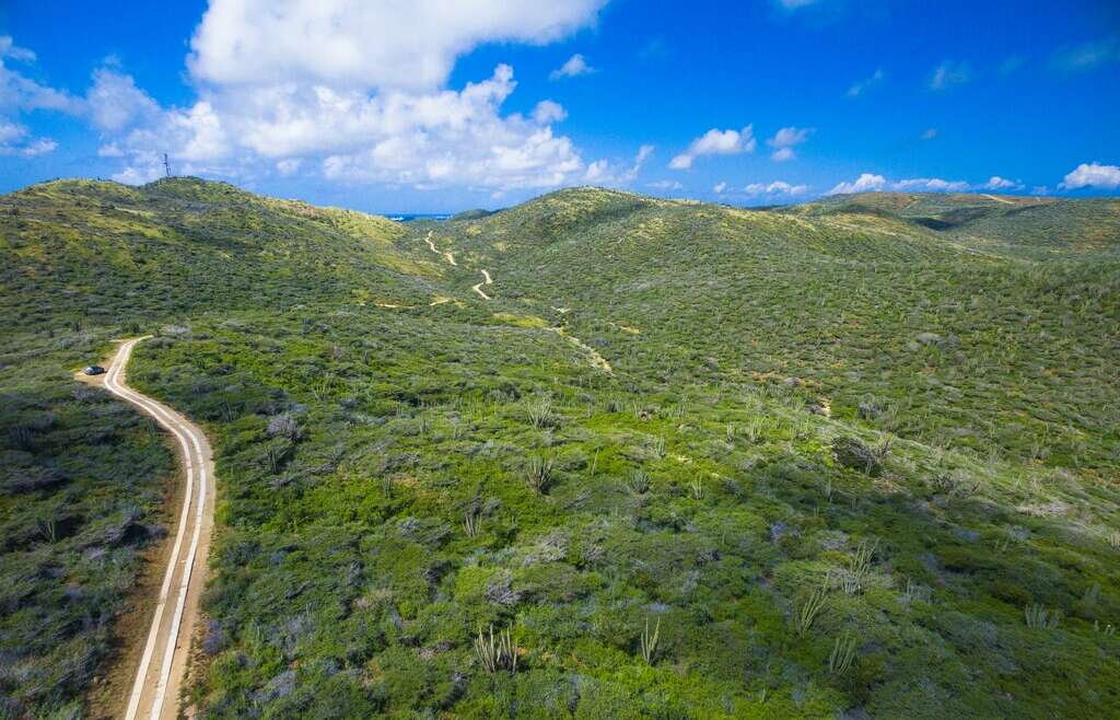 Natural Wonders of Aruba