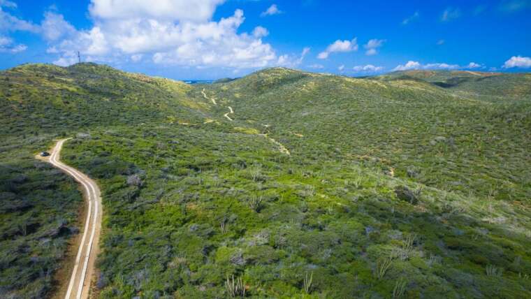 Natural Wonders of Aruba