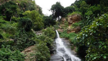 Nature in Togo