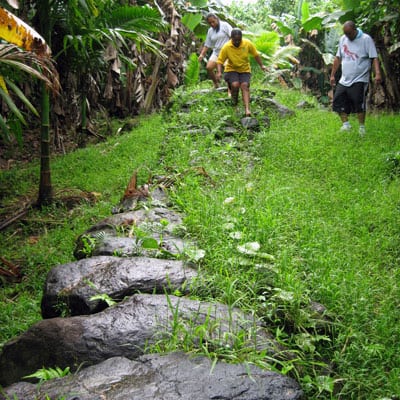 ngatpang-path