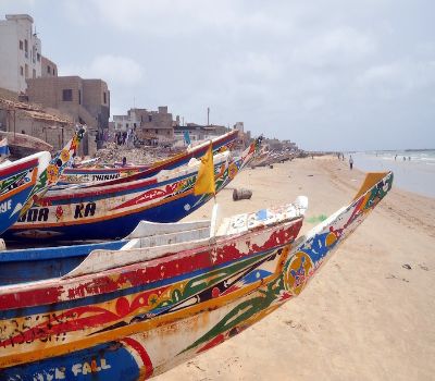 Essence of Senegal