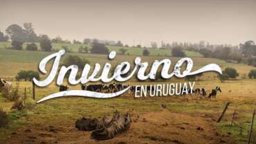 Countryside & Nature in Uruguay