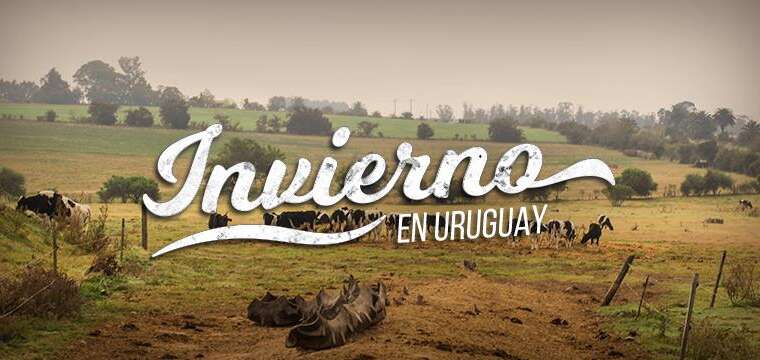 Countryside & Nature in Uruguay