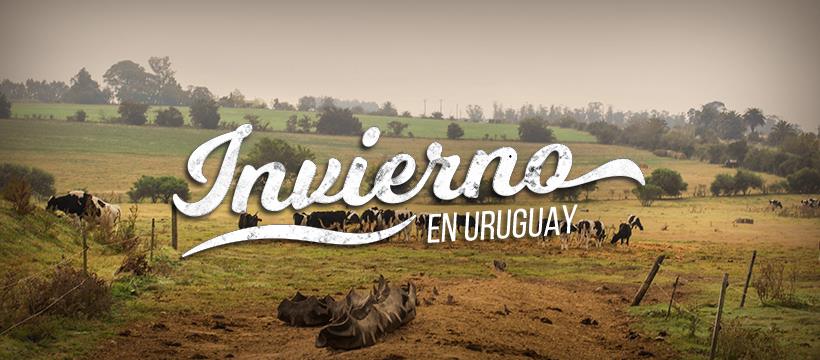 Countryside & Nature in Uruguay