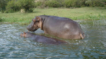 Lakes & Rivers in Uganda