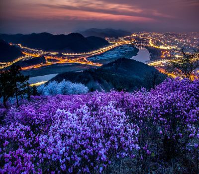 Amazing Korea