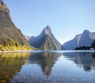 Beauty of New Zealand