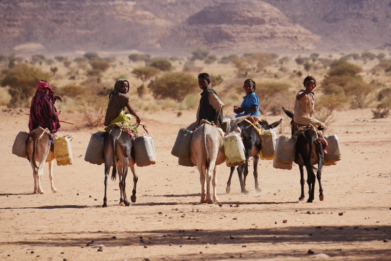 Experiences in Sudan