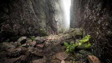 Discover the wild beauty of Swedish National Parks