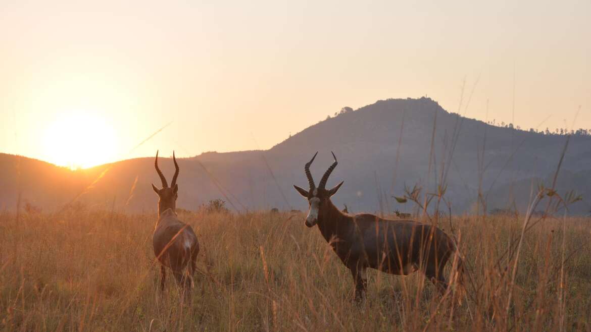 South West Eswatini (Swaziland)