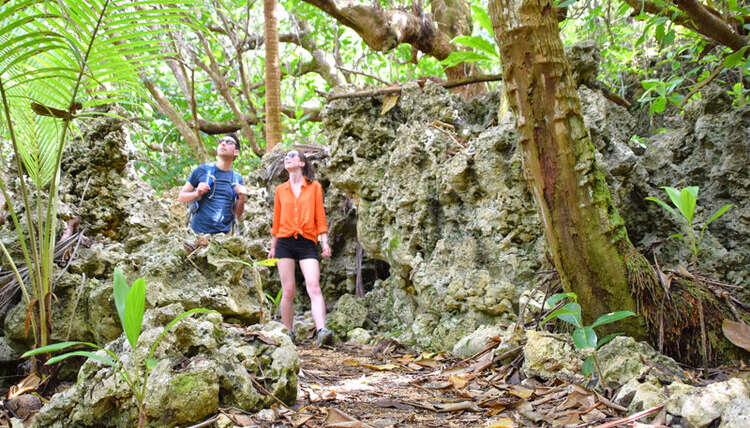 Tracks & Walks in Niue