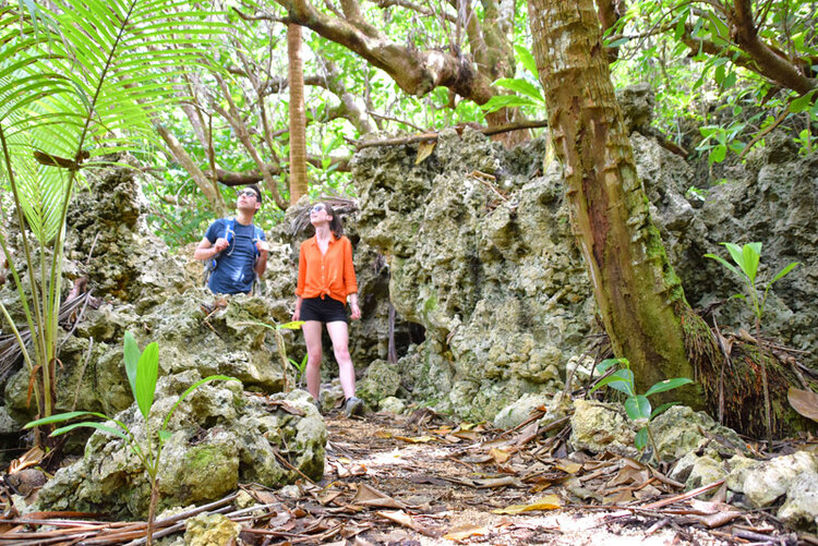 Tracks & Walks in Niue