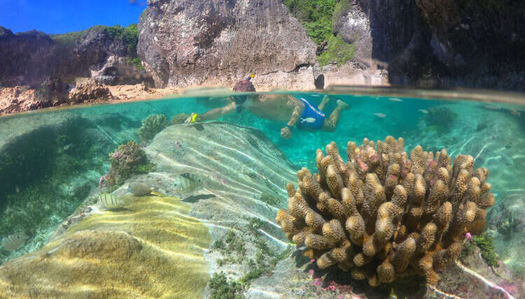 Top 10 Reasons to visit Niue