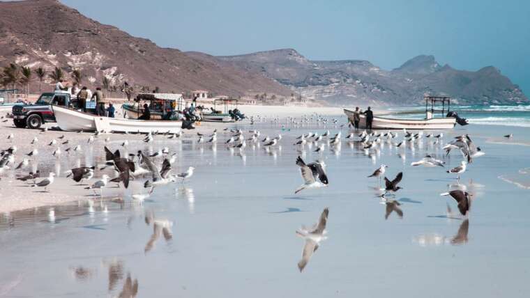 Nature & Wildlife Tourism in Oman