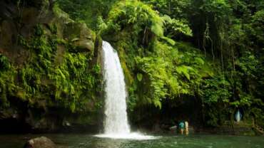 Nature in Philippines