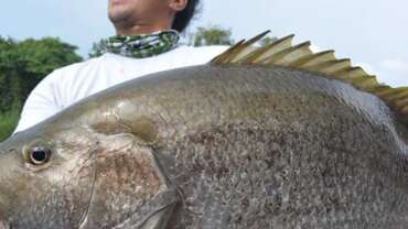 Fishing in Papua New Guinea