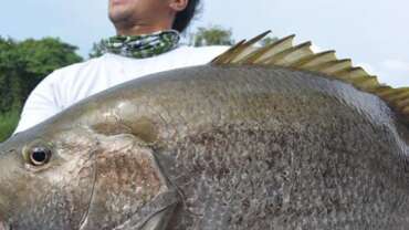 Fishing in Papua New Guinea