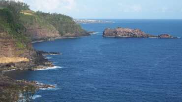 Intensely Biodiverse Reunion Island