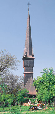 surdesti