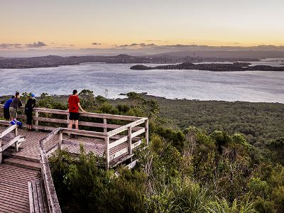 Amazing Auckland