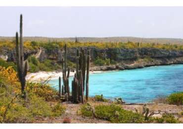Excursion of Bonaire