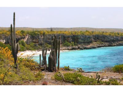 Excursion of Bonaire