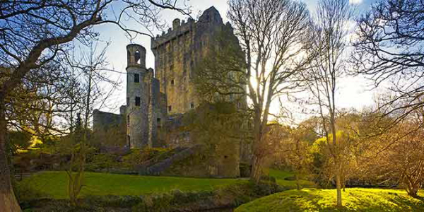 Nicknamed the Emerald Isle for its sprawling green landscapes bordering rugged coastline, Ireland has long been a draw for travelers, and now we make....