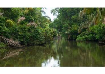 Excursion of Puntarenas