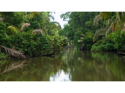 Excursion of Puntarenas