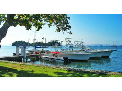 Whale Watching at Samana