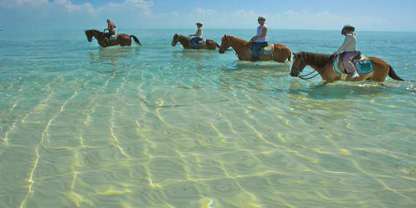 The island of Grand Turk is part of the 20 islands that make up what is known as Turks and Caicos. Located in the Caribbean about 575 miles south of Miami....