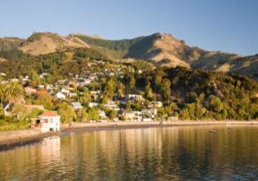 Akaroa Harbor with Wildlife Cruise