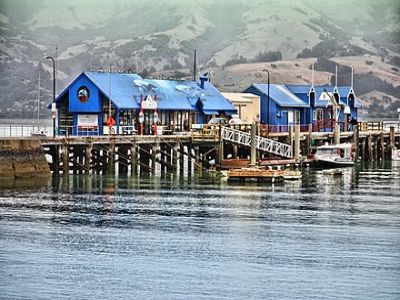 Giant Houses with Karoa & Bank Peninsula