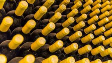 Wine Tourism Moldova