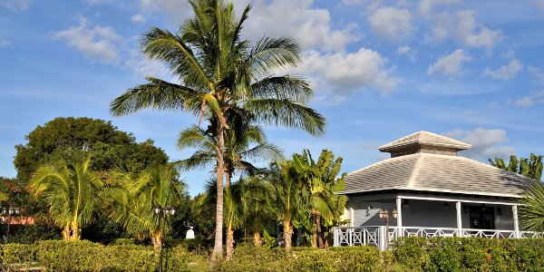 Bahamas Shore Excursions