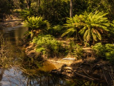 Glimpes of Tasmania