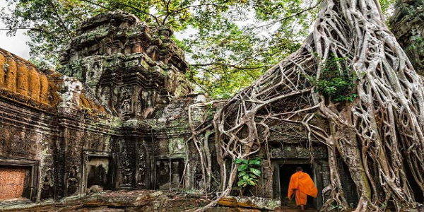 Cambodia Shore Excursions