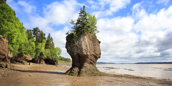 Canada and New England provide a wide array of opportunities to enjoy the unique scenery, tradition and culture of this outstanding region....