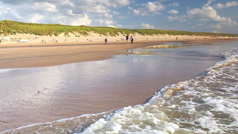 Dutch Coast