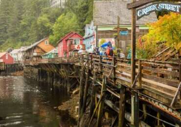 Discovery of Alaska Rainforest Sanctuary