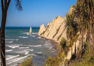 Hawke’s Bay Wines and Beer Tour