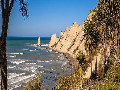 Hawke’s Bay Wines and Beer Tour