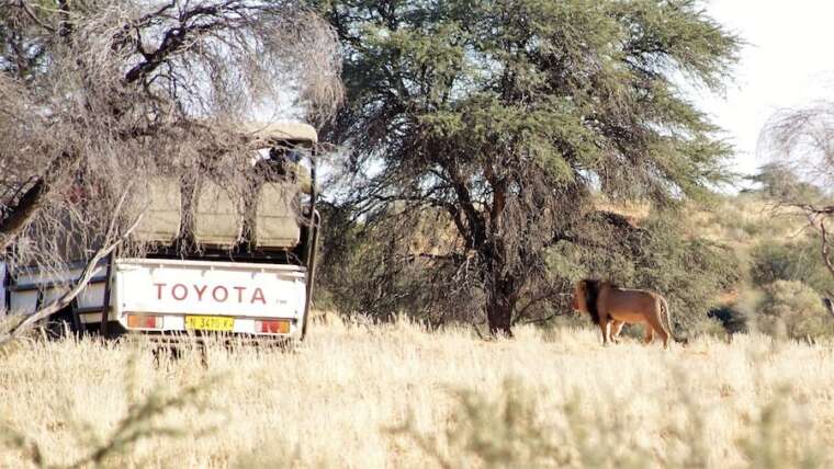 Safari & Tours in Namibia