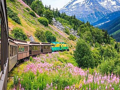 Skagway City Tour with White Pass Summit