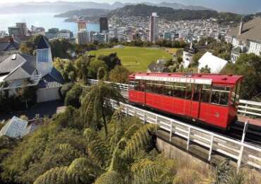 Full Day Tour in Wellington