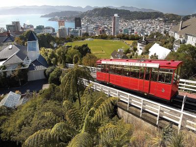 Full Day Tour in Wellington